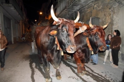 Calatafimi - Segesta470.JPG